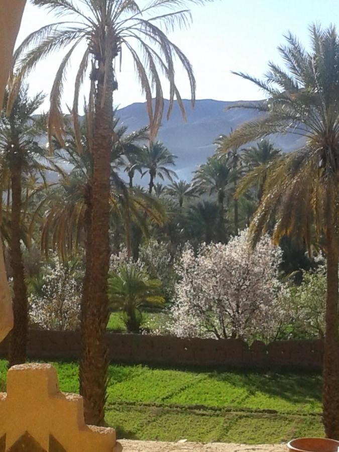 فندق Kasbah Maktob Tamnougalt أكدز المظهر الخارجي الصورة