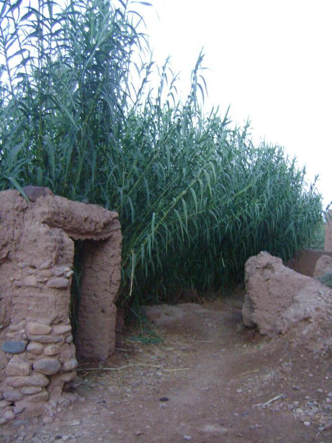 فندق Kasbah Maktob Tamnougalt أكدز المظهر الخارجي الصورة
